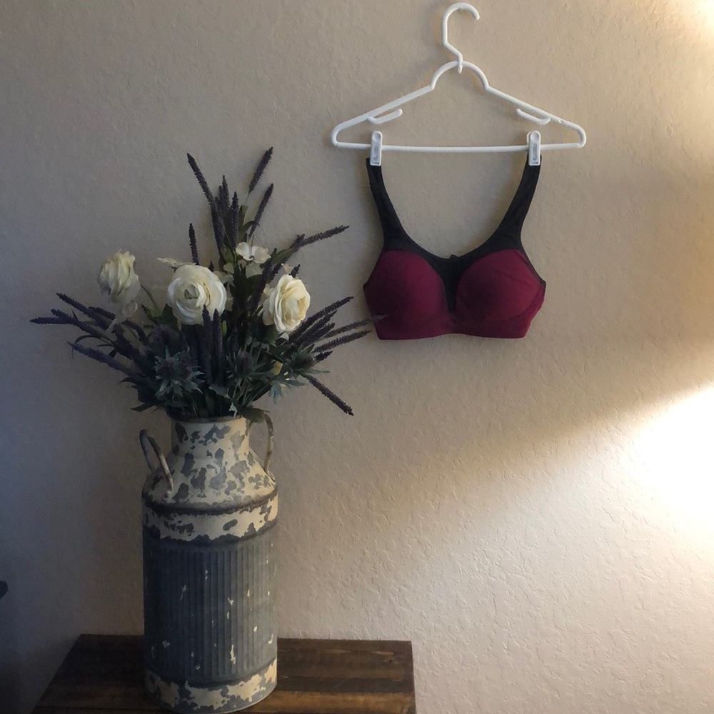 Champion Sports Bra